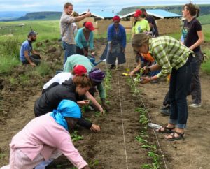 Rotational Grazing for Healthier Ecosystems in Eastern Cape Province, South Africa
