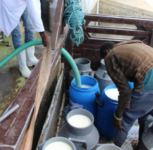 A Glass of Milk to Address Child Malnutrition in Ethiopia