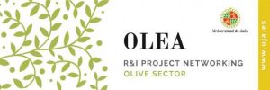 III OLEA INTERNATIONAL PROJECT NETWORKING EVENT